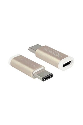 Adaptateur et convertisseur DELOCK - Adaptateur USB - USB-C (M) pour  Micro-USB de type B (F) - USB 3.1 - cuivré