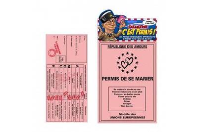 Scarica Gratis Images Accessoires De Deguisement Amour Permis De Conduire Humoristique actualisé par