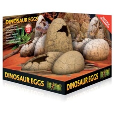 Exo Terra - Décoration ?ufs de Dinosaure pour Terrarium