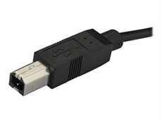 Câble USB-C vers USB-B de 2 m - USB Type-C - USB 2.0 - Câble USB - 24 pin USB-C (M) pour USB type B (M) - Thunderbolt 3 / USB 2.0 - 2 m - noir