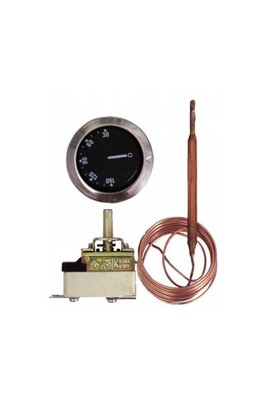 Thermostat et programmateur de température GENERIQUE Aquastat de régulation à bulbe et capillaire AB224L