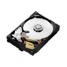 WD Deskstar 7K1000.C HDS721025CLA382 - Disque dur - 250 Go - interne - 3.5" - SATA 3Gb/s - 7200 tours/min - mémoire tampon : 8 Mo