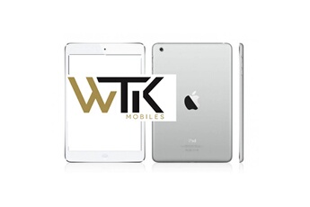Apple Ipad Mini 16Go