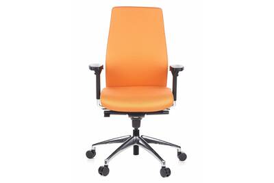 Fauteuil Bureau Hjh Office Siege De Bureau Fauteuil De Direction Skave 200 Orange Hjh Office Darty Fauteuil Bureau Hjh Office Siege De Bureau Fauteuil De Direction Skave 200 Orange Hjh Office Darty