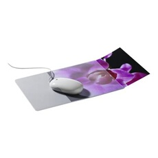 5747-19 Transparent