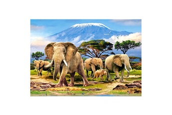 Puzzle Castorland Puzzle 1000 pièces : réveil matinal près du kilimanjaro