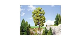 Autre modélisme Noch Arbre tilleul 0021781 185 mm 1 pc(s Autre modélisme Noch Arbre tilleul 0021781 185 mm 1 pc(s