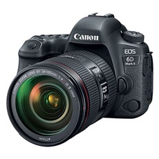 eos 6d mark II + ef 24-105 f/4 l is usm II