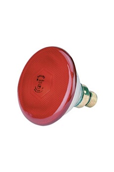 autres luminaires kerbl philips - lampe infra rouge 175w