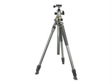 Alta Pro 2+ 263AB100 - Trépied - avec Vanguard Alta BH 100