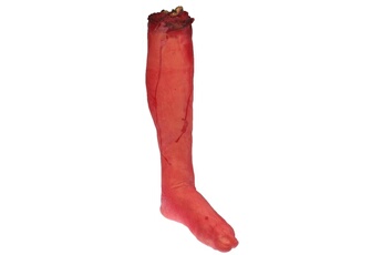 Accessoire de déguisement Wewoo Props 55cm halloween horror props avril fool jour partie prop parties du corps décoration longue sanguine pied