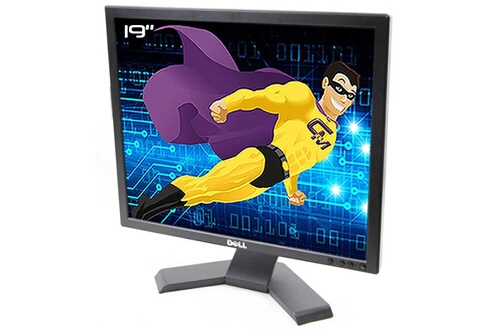 Ecran plat pc pro 19”” dell e190sf 0j388n j388n lcd tft vga 1280x1024 4:3 v
