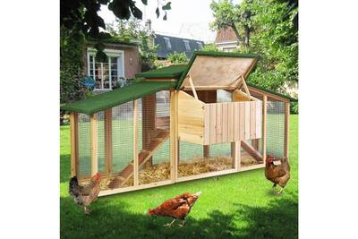 Poulailler Luxe Xxl Clapier En Bois Avec Pondoir