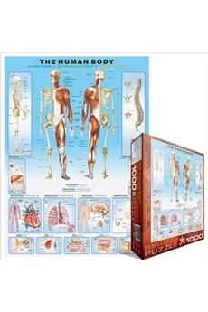 Puzzle Xbite Ltd Eurographics puzzle 1000 pc - the human body