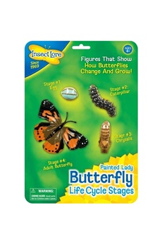 Jouets éducatifs Xbite Ltd Insect lore life cycle figurines butterfly