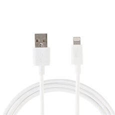 Câble de données USB vers compatible Lightning synchronisation Charge pour Apple iPhone 6 6S Plus 5S 5 C 7 7 plus 8 X Blanc (2 m)