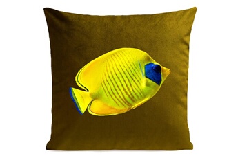 Drap bébé Artpilo Coussin velours carré imprimé poissons yellow fish - 40 x 40 cm