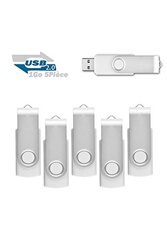 Clé USB Febniscte Lot de 10 Clés USB 1Go Pivotantes Clefs USB 2.0 Bleu Pen  Drive