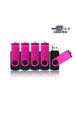 Clé USB VIEKUU Lot de 5 Pièces Clef USB 16 GO par pour Ordinateur,  Télévision, Automobile,etc (Rose)