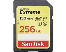 Extreme - Carte mémoire flash - 256 Go - Video Class V30 / UHS Class 3 / Class10 - SDXC UHS-I