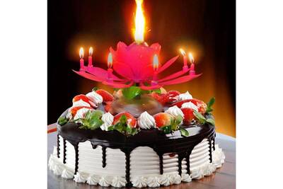 Bougie Shop Story Bougie D Anniversaire Magique Fleur Musicale Tournante Pour Decoration De Gateau Rouge Darty Bougie Shop Story Bougie D Anniversaire Magique Fleur Musicale Tournante Pour Decoration De Gateau Rouge Darty