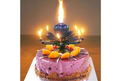 Bougie Shop Story Bougie D Anniversaire Magique Fleur Musicale Tournante Pour Decoration De Gateau Bleu Darty Bougie Shop Story Bougie D Anniversaire Magique Fleur Musicale Tournante Pour Decoration De Gateau Bleu Darty