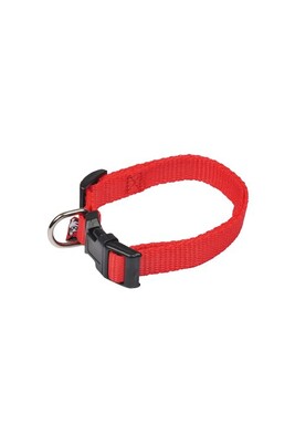 Collier harnais et laisse pour petits animaux Love story collier reglable en pp de 30 a 45cm*largeur 16mm - rouge