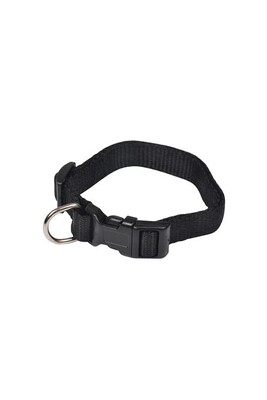 Collier harnais et laisse pour petits animaux L3C collier reglable en pp de 30 a 45cm*largeur 16mm - noir