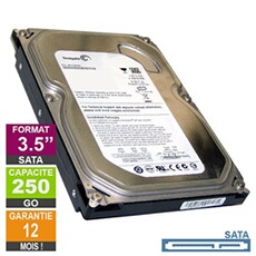 Disque Dur Interne Seagate Disque Dur 250Go Sata 3.5 Seagate Barracuda 7200.10 St3250318As 7200Rpm 8Mo