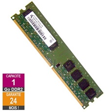 Barrette Mémoire 1Go RAM DDR2 HYS64T128020EU-3S-B2 DIMM PC2-5300U