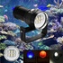 Lampe Torche Plongée Bigmachine L2 LED 100M Étanche - Batterie Rechargeable