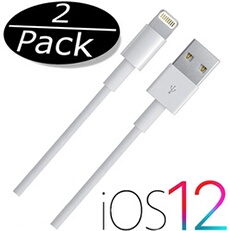 Lot 2 Cables USB Lightning Chargeur COMPATIBLES Apple iPhone 2 Metres