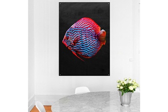 Tapis pour enfant Artpilo Tapis rectangulaire velours antidérapant imprimé poissons mister red - 135 x 200 cm