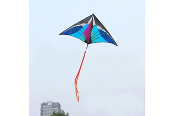 Autre jeux éducatifs et électroniques AUCUNE Nouveau stunt power kite outdoor sport fun toys nouveauté dual line delta kite bu