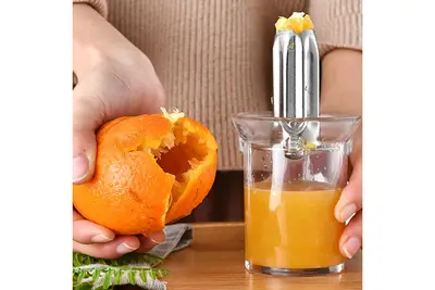 Presse Agrumes Generic Extracteur Manuel De Fruits En Citron Orange De Presse Fruits De Tasse De Jus En Plastique De Main Presse Agrumes Darty