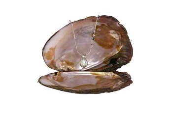 Bijou de déguisement Totalcadeau Collier fantaisie à perle véritable dans huître pendentif cage en c bijou fantaisie pas cher pendentif