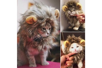 Déguisement enfant Totalcadeau Costume de lion pour chat et petit chien déguisement