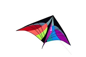 Autre jeux éducatifs et électroniques AUCUNE Nouveau stunt power kite outdoor sport fun toys nouveauté dual line delta kite mr multicolore