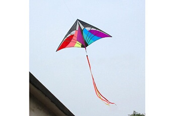 Jouets éducatifs Generic Nouveau stunt power kite outdoor sport fun toys nouveauté dual line delta kite mr vinwo1205