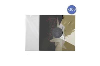 Platine Vinyle Enova Enova Pev 100 Protection Pochette Vinyle 33 Tours 100 Unites Darty
