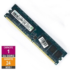 Barrette Mémoire 1Go RAM DDR2 RML1520EC48D7W-800 DIMM PC2-6400U 1Rx8
