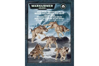 Article et décoration de fête Games Workshop Warhammer 40k . - space wolf fenrisian wolves