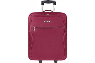 Valise Cactus Valise Cabine Souple 55 Cm Darty