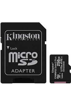 Carte mémoire micro SD Kingston Canvas Select Plus - Carte mémoire flash (adaptateur microSDXC vers SD inclus(e)) - 256 Go - A1 / Video Class V30 / UHS Class 3 / Class10 - microSDXC