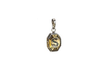 Bijou de déguisement Noble Collection Noble collection - lumos charm: the slytherin locket