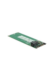 Montage et connectique PC DELOCK Converter SATA 22 pin - SFF-8643 NVMe > 1 x M.2 NGFF Key M Adaptateur d'interface M.2 M.2 Card SAS 6Gb-s, SATA 6Gb-s