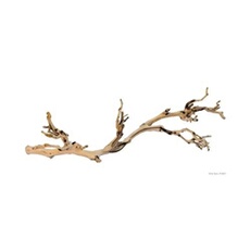 EXO TERRA Decoration Pied de vigne sable - Grand modele - Pour terrarium