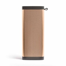 Livoo Enceinte Sans Fil Or
