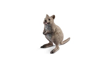 Figurine pour enfant Alpexe Schleich wild life 14823 - figurine quokka