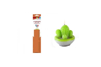 Création bougie Graine Creative Moule à bougie cactus en latex + supports de calage